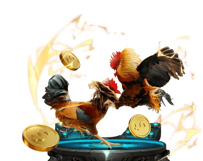 Các loại kèo cược đá gà đa dạng tại B52 Club